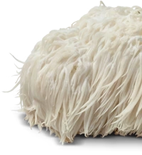 Lion's Mane