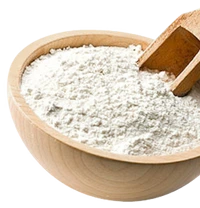 Collagen Protein